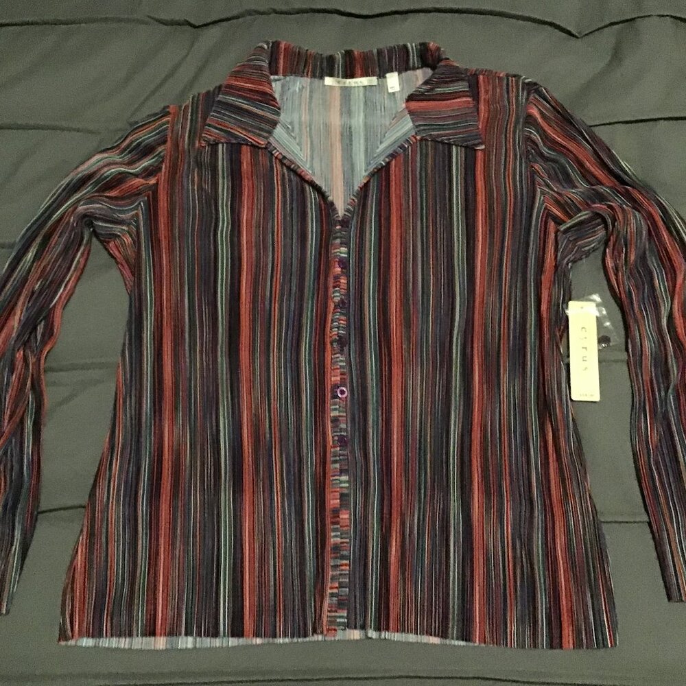Cyrus Multicolor Striped Button-Up Blouse